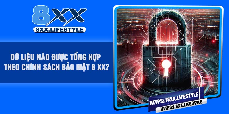 Dữ Liệu Nào Được Tổng Hợp Theo Chính Sách Bảo Mật 8 XX?