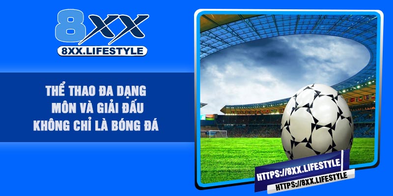 Thể thao đa dạng môn và giải đấu – Không chỉ là bóng đá