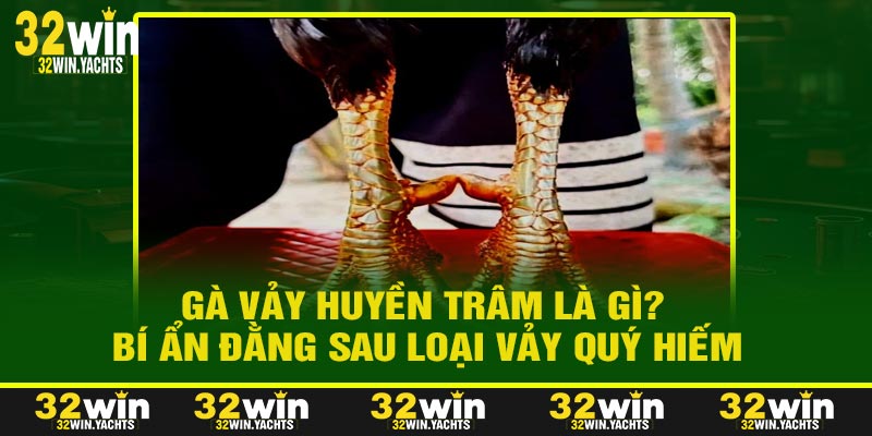 Gà Vảy Huyền Trâm Là Gì? Bí Ẩn Đằng Sau Loại Vảy Quý Hiếm